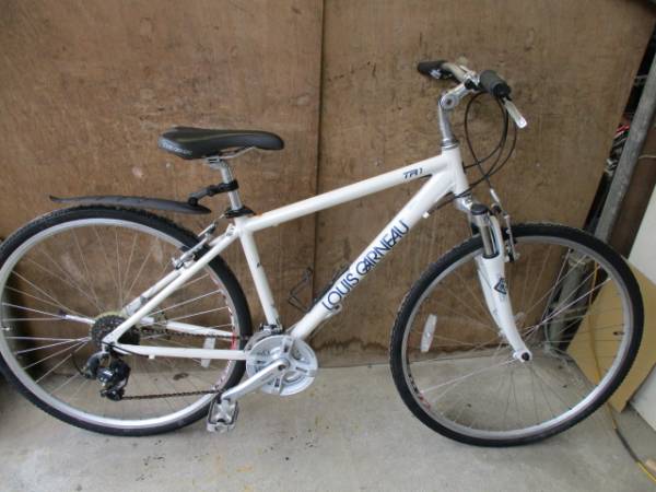 N426 ルイガノ TR1