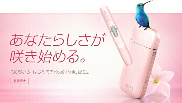 IQOS アイコス 本体 限定色 Rose pink ロゼピンク 新品 未開封