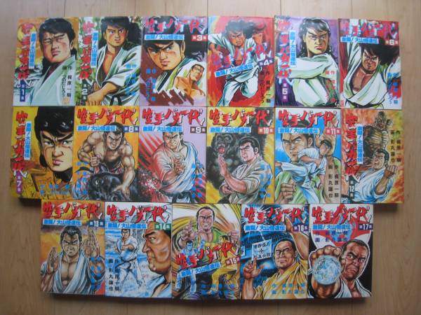 【即決】 ◆『空手バカ一代 ワイド版』 全巻(17冊) 梶原一騎