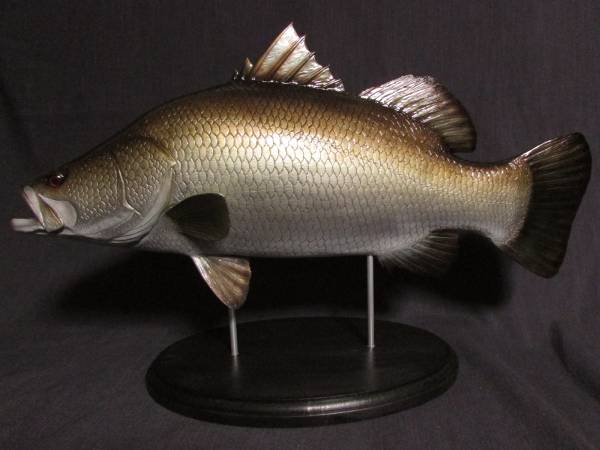 ○ハンドメイド 50cmアカメ フィギュア 魚模型 レプリカ (生き物
