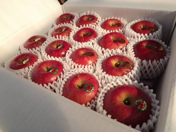 岩手県産　贈答用サンふじ中玉10キロ　32玉入