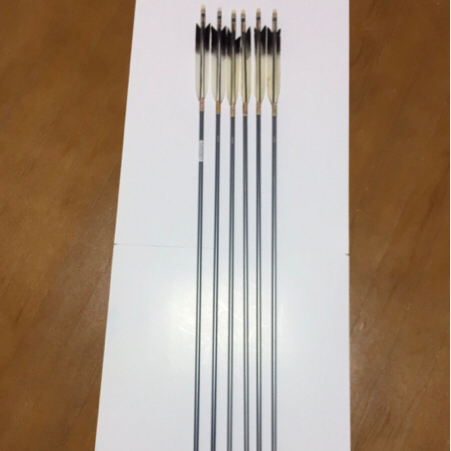 【弓道】矢/6本/中古/２本未使用