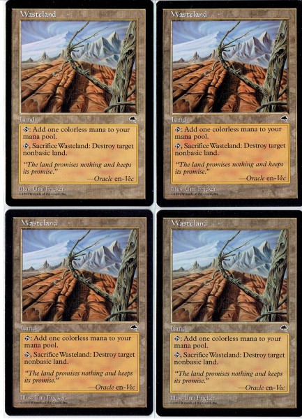 不毛の大地 ⁄ MTG Foil 英語 foil - エクスペディション | mtg