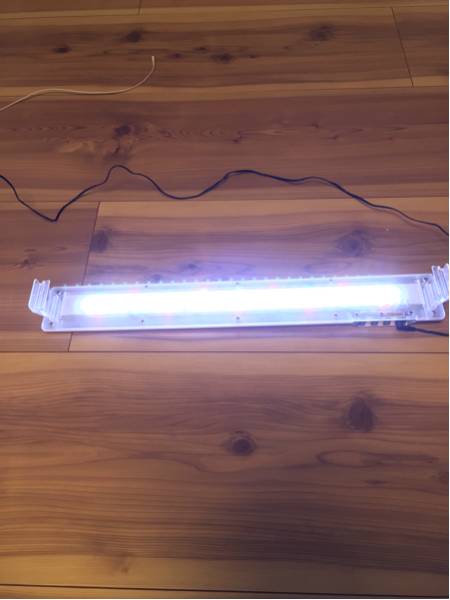 w207066660.2