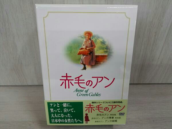 廃盤レア✴︎初回特典（ネガ）付き！イントゥ・ザ・ワイルド('07米)dvd