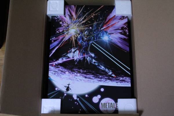 METALBUILD ディスティニーガンダム フルパッケージ （開封済み美品）