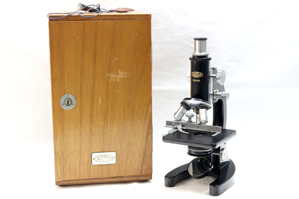 k285955050.2