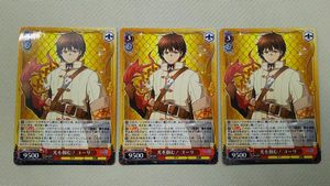 共に生き、共に戦い フィーナ sp サイン ヴァイス チェインクロニクル 共に生き、共に戦い フィーナ sp サイン ヴァイス チェインクロニクル