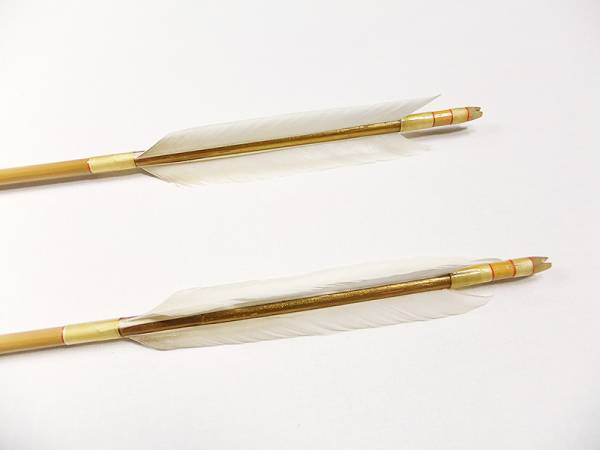 弓道 竹矢 矢 花白鳥 6本組 並箆 一手 | オーダー製作 竹 山武