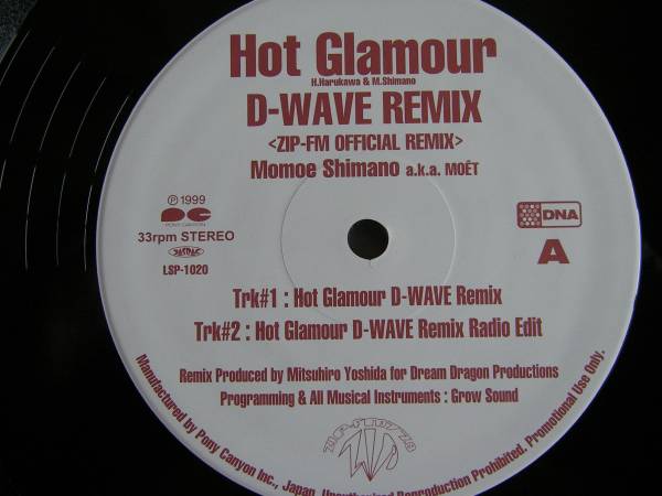 2026年最新Yahoo!オークション プロモ12' 嶋野百恵 ／ Hot Glamour （D