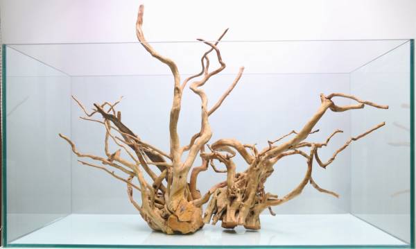 【UWG】レイアウト用流木　2本1セット　その１　90cm標準水槽用　枝状（ブランチ）　120cm水槽にも！