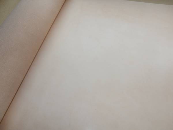 x475136554.2