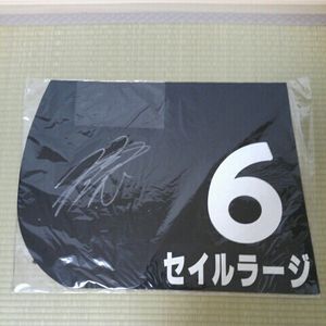 騎手 サインのYahoo!オークション(旧ヤフオク!)の相場・価格を見る 