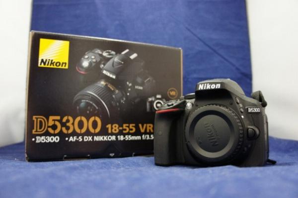 期間限定値下げ ニコン Nikon デジタル一眼カメラ D5300