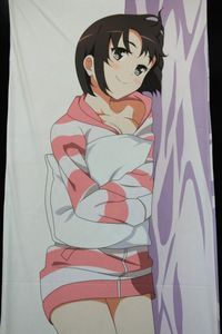 抱き枕 カバー 藤のYahoo!オークション(旧ヤフオク!)の相場・価格を 