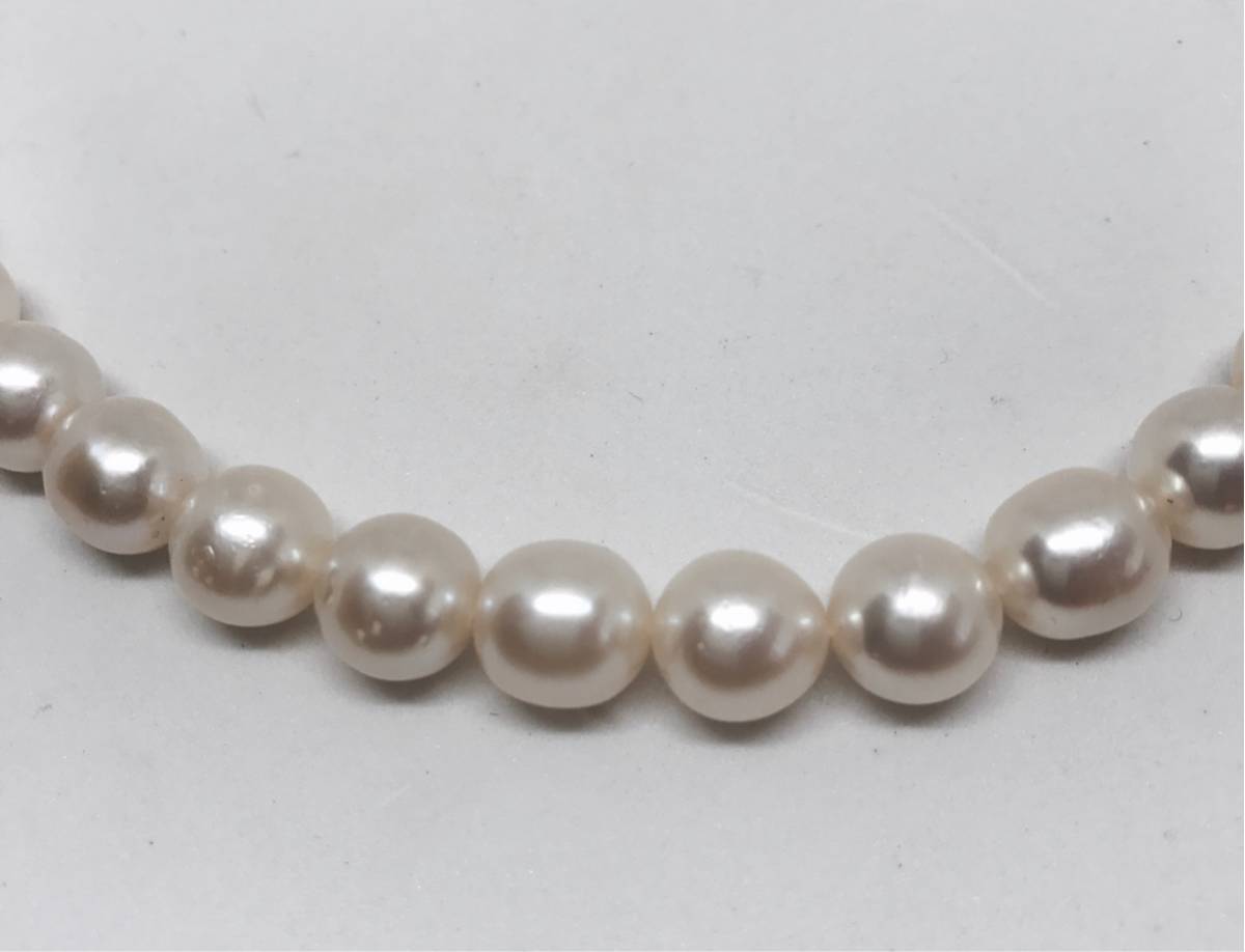 K18イエローゴールドアコヤ真珠ネックレス（8mm）(RPN541)|TSUTSUMI 
