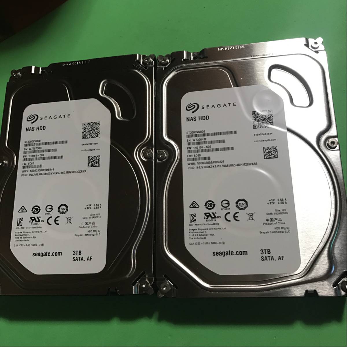 x505600366.1