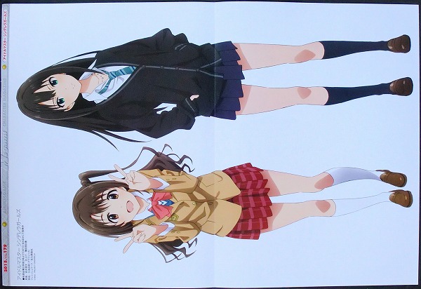 アイドルマスターシンデレラガールズ ピンナップポスター 島村卯月 渋谷凛 制服アニメs1 コミック アニメグッズ 売買されたオークション情報 Yahooの商品情報をアーカイブ公開 オークファン Aucfan Com