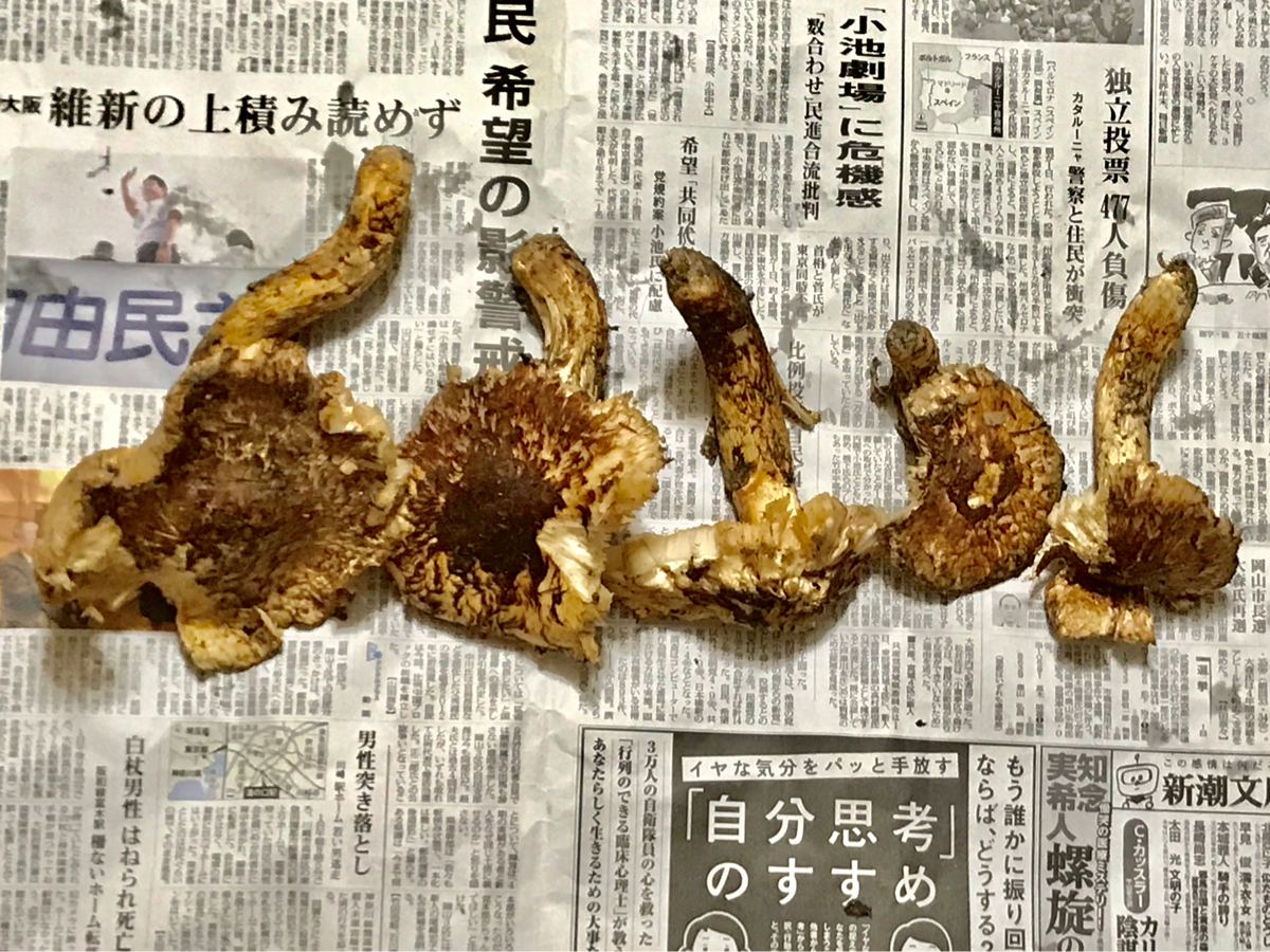 c613970718.3