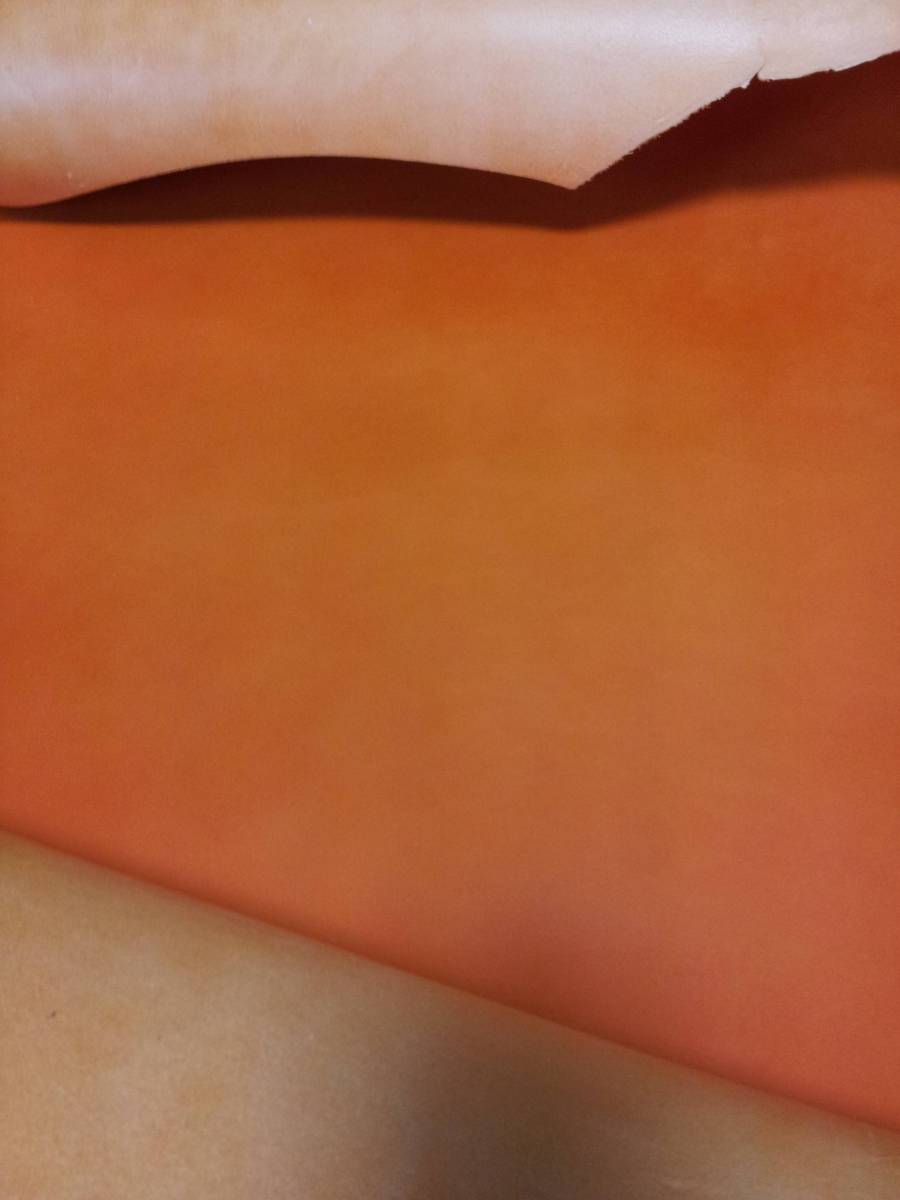 半裁☆ティーポ 237ds オレンジ 送料無料