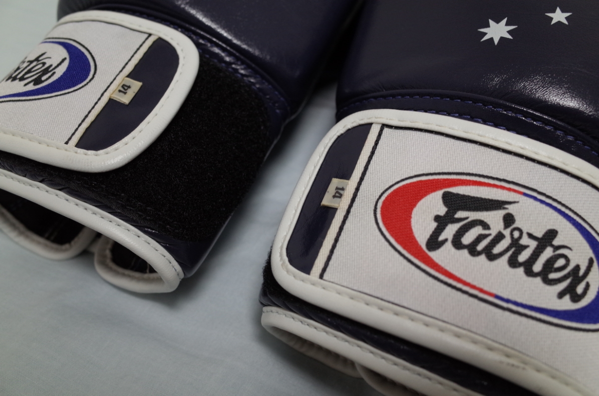 FAIRTEX（フェアテックス）グローブ（14オンス）