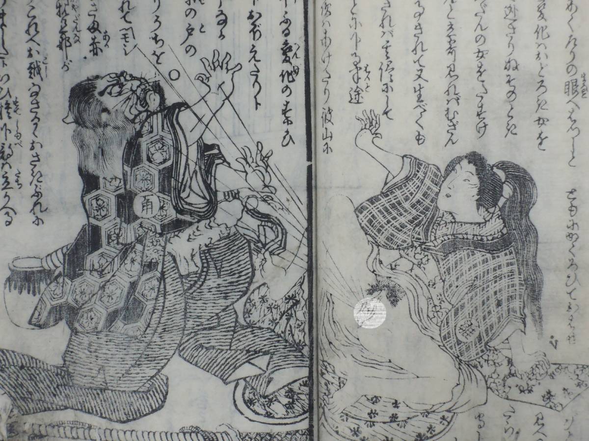 k243919803.1