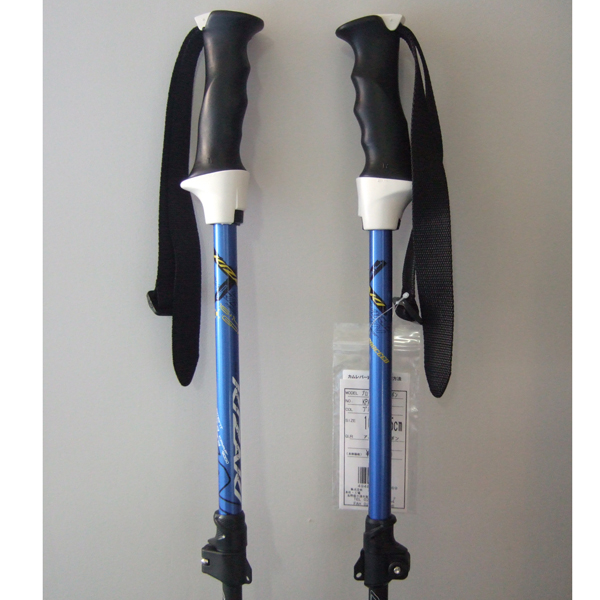 kizaki プロシードTLカーボン KPAI-9001 85-105cm 伸縮 Websports