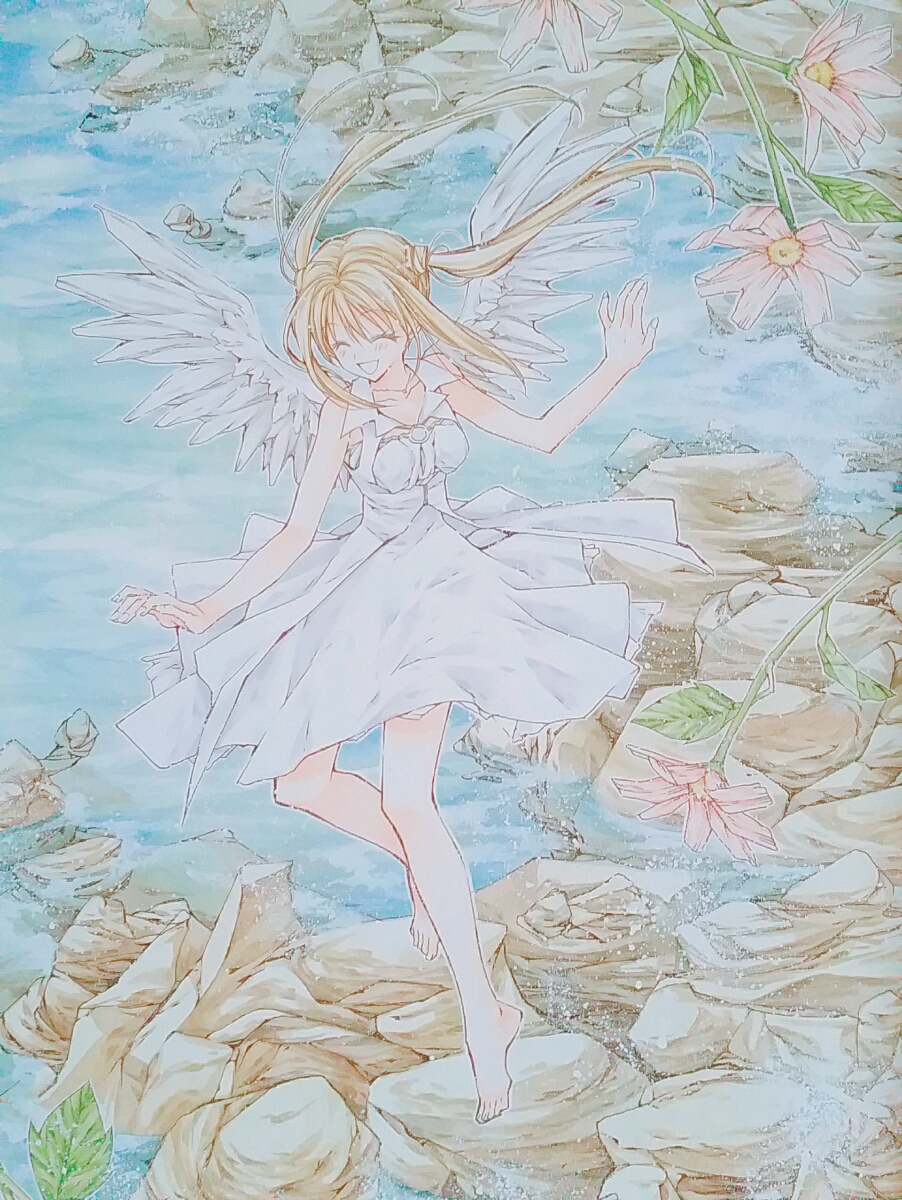紳士同盟 cross 種村有菜 イラスト集 紳クロ(イラスト集、原画集