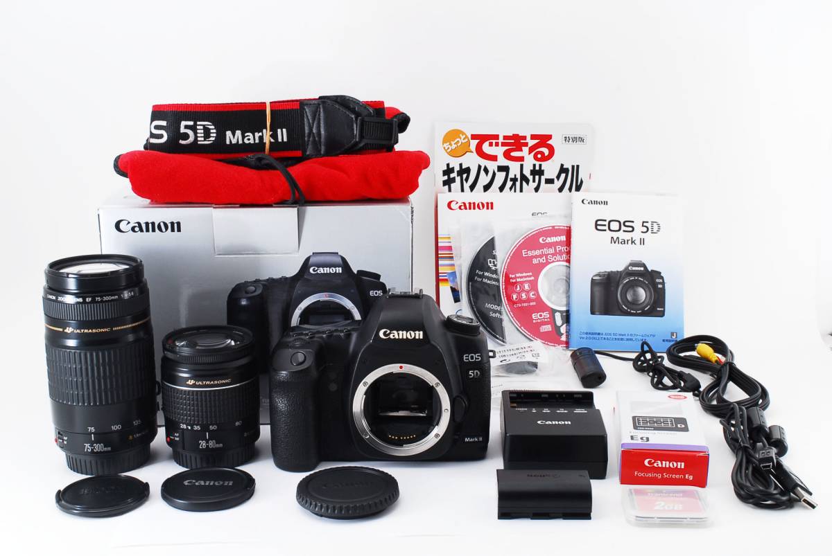 ☆極上級☆Canon キャノン 5D mark II 300mm 超望遠Wズームレンズ