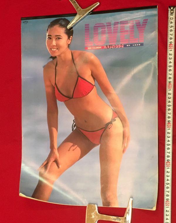m4037【未使用カレンダー LOVELY 1996】浅野ゆう子 ビキニ 水着 全葉揃