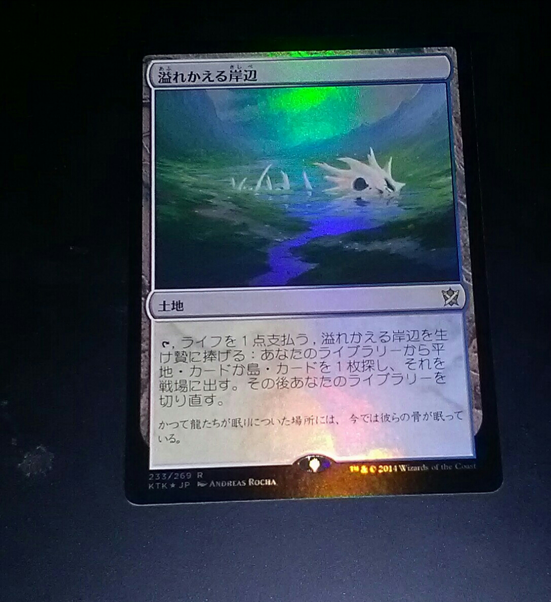 MTG 溢れかえる岸辺 FOIL 日1枚 Mtg Foil 溢れかえる岸辺 日本語 ZNE