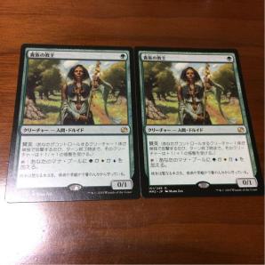 爆買い，最新作 MTG 貴族の教主 日本語2枚セット(緑)｜売買されたオークション情報、yahooの商品情報をアーカイブ公開 - オークファン ノーマルカード