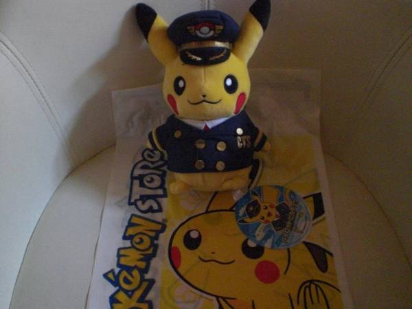 ポカブ ぬいぐるみ ポケモンセンター 初夢 初夢ぬいぐるみ BIG 0 1