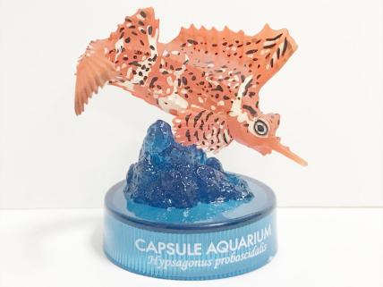 海洋堂/日本水族館立体生物図録/第4弾/アツモリウオ(レッド)美品