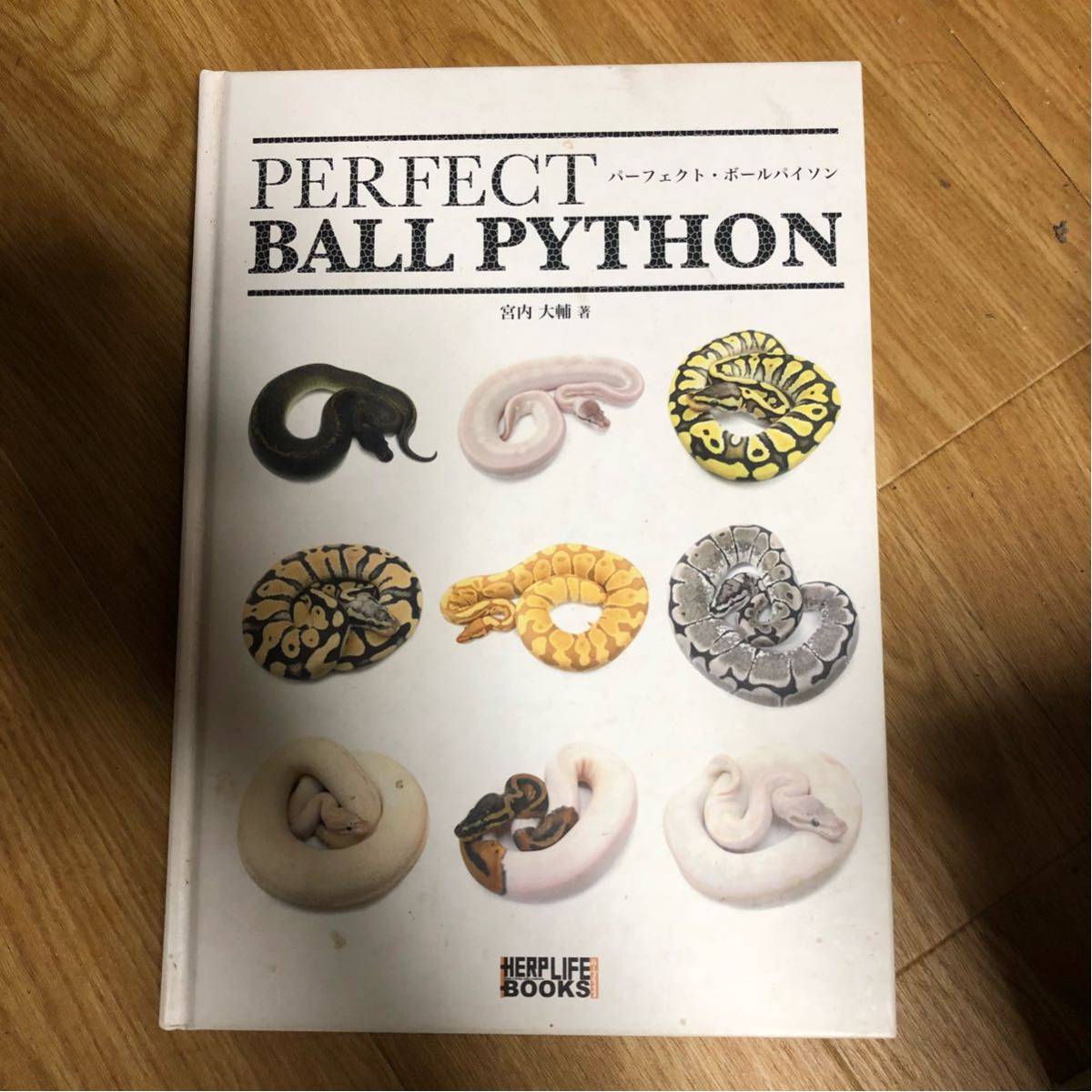 パーフェクトボールパイソン perfect ball Python