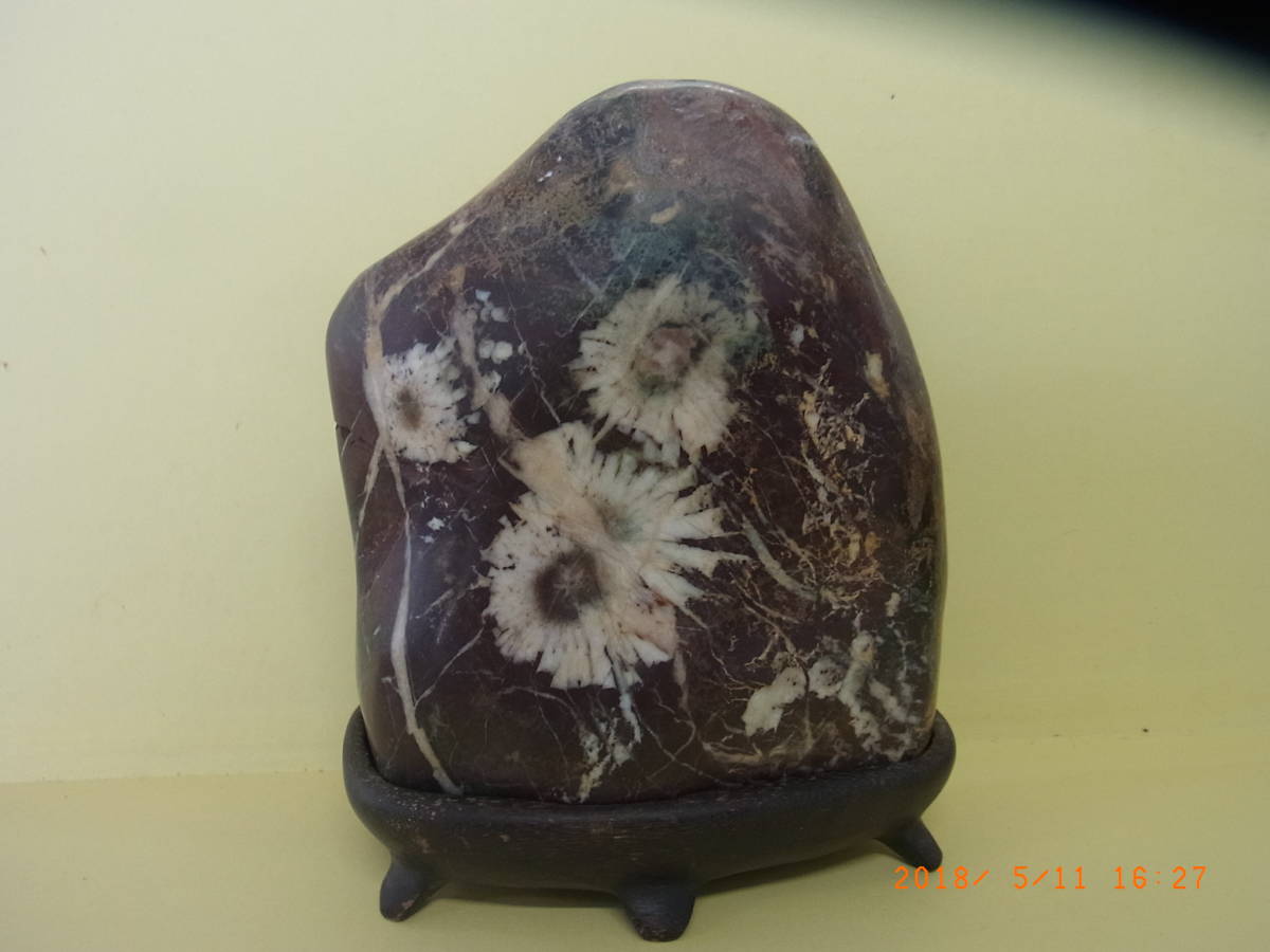 菊花石 | 最高峰級に美しい菊模様の鑑賞石『菊花石』を紹介します 
