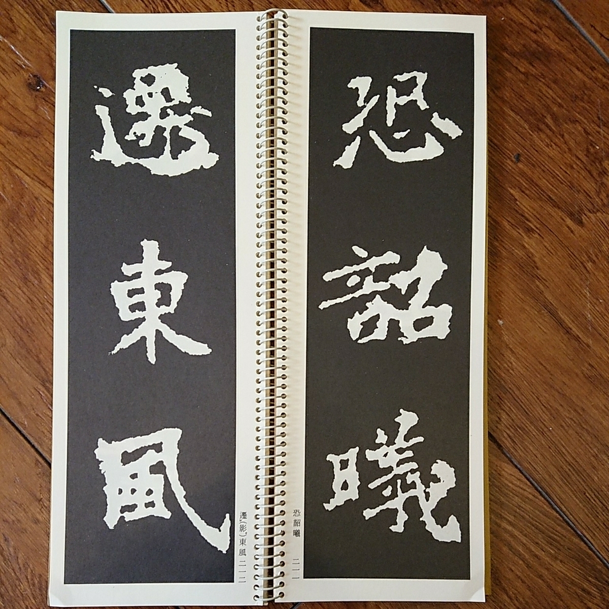 拡大法書選集 二玄社 - 集字聖教序 – 株式会社二玄社（複製品） 拡大法