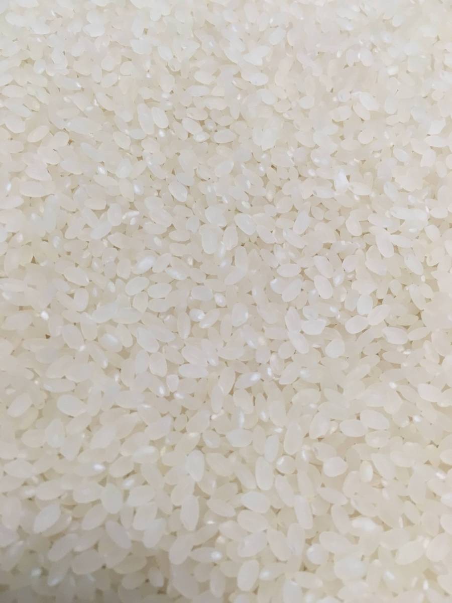 数量限定 29年度産 お米 訳あり⑤ 栃木県,米のお礼品・返礼品一覧 | ふるさと納税サイト「さとふる」