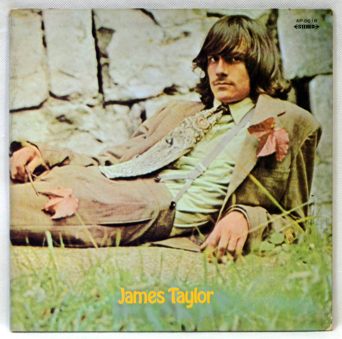 ジェイムス・テイラー James - Taylor | ⁄ Japan ジェイムス・テイラー