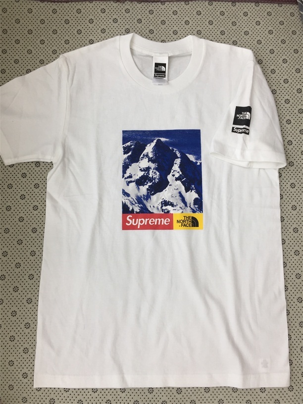 Supreme The North Face Mountain Tee シュプリーム Tシャツ