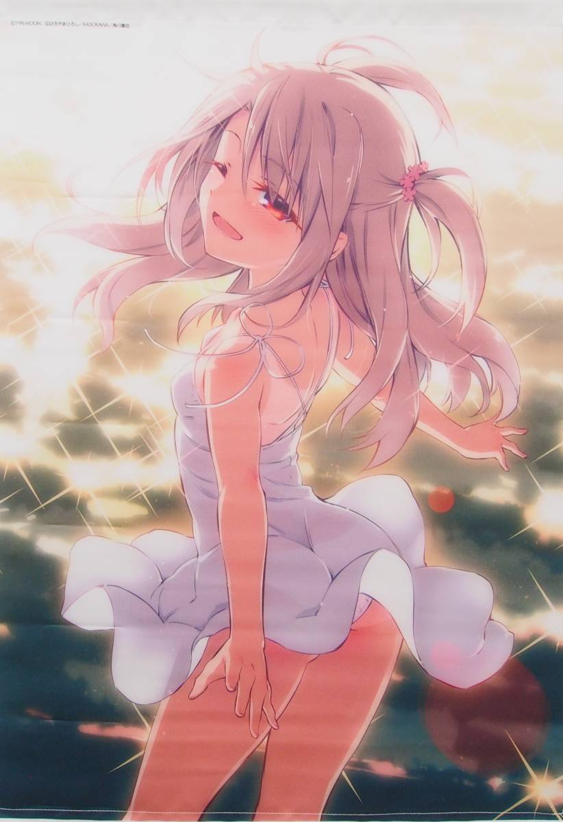 Fate Kaleid Liner プリズマ イリヤ マジカルフェスティバル イリヤスフィール B2 タペストリー ひろやまひろし T2973 タペストリー 売買されたオークション情報 Yahooの商品情報をアーカイブ公開 オークファン Aucfan Com