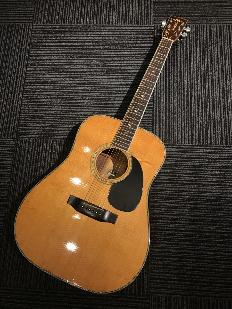 Morris W-60 - Yahoo!オークション in トップスプルース単板アコース 