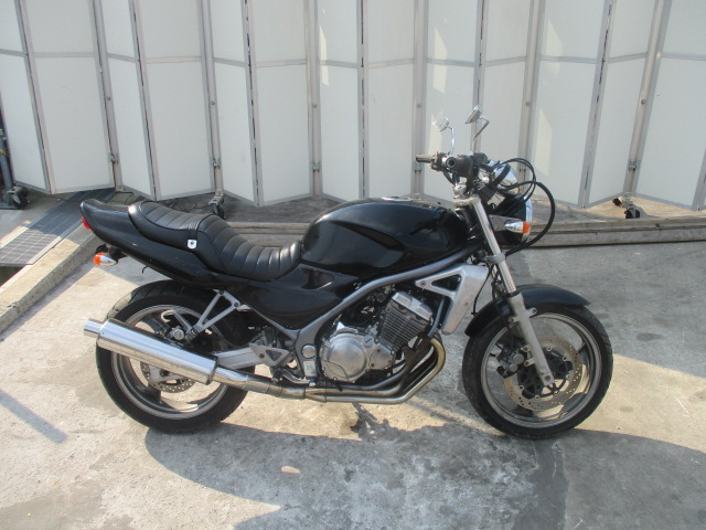 k307502929.1