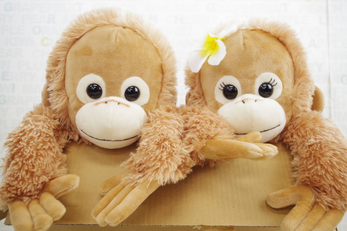 ベイビーココ&ナツ : マスコット ココ ぬいぐるみ M ナツ 