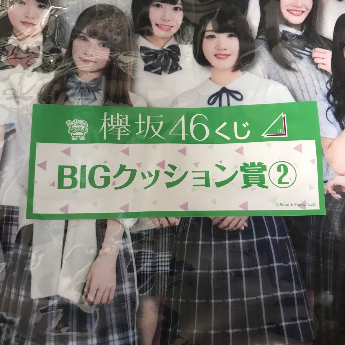 欅坂46 ローソン クジ BIGクッション賞② 新品未開封 【公式通販】
