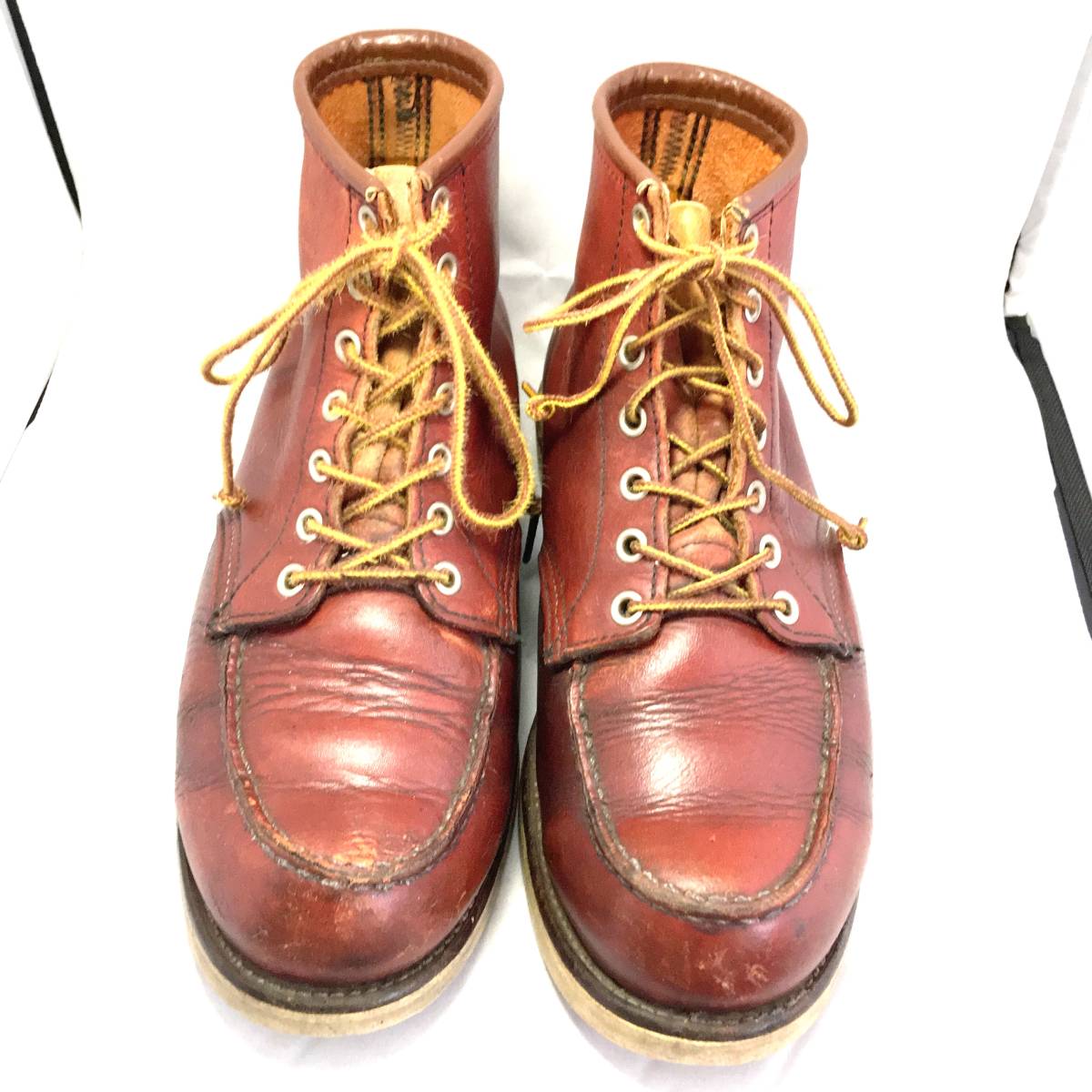 アイリッシュセッター レッドウィング REDWING 犬タグ RED ブーツ WING 