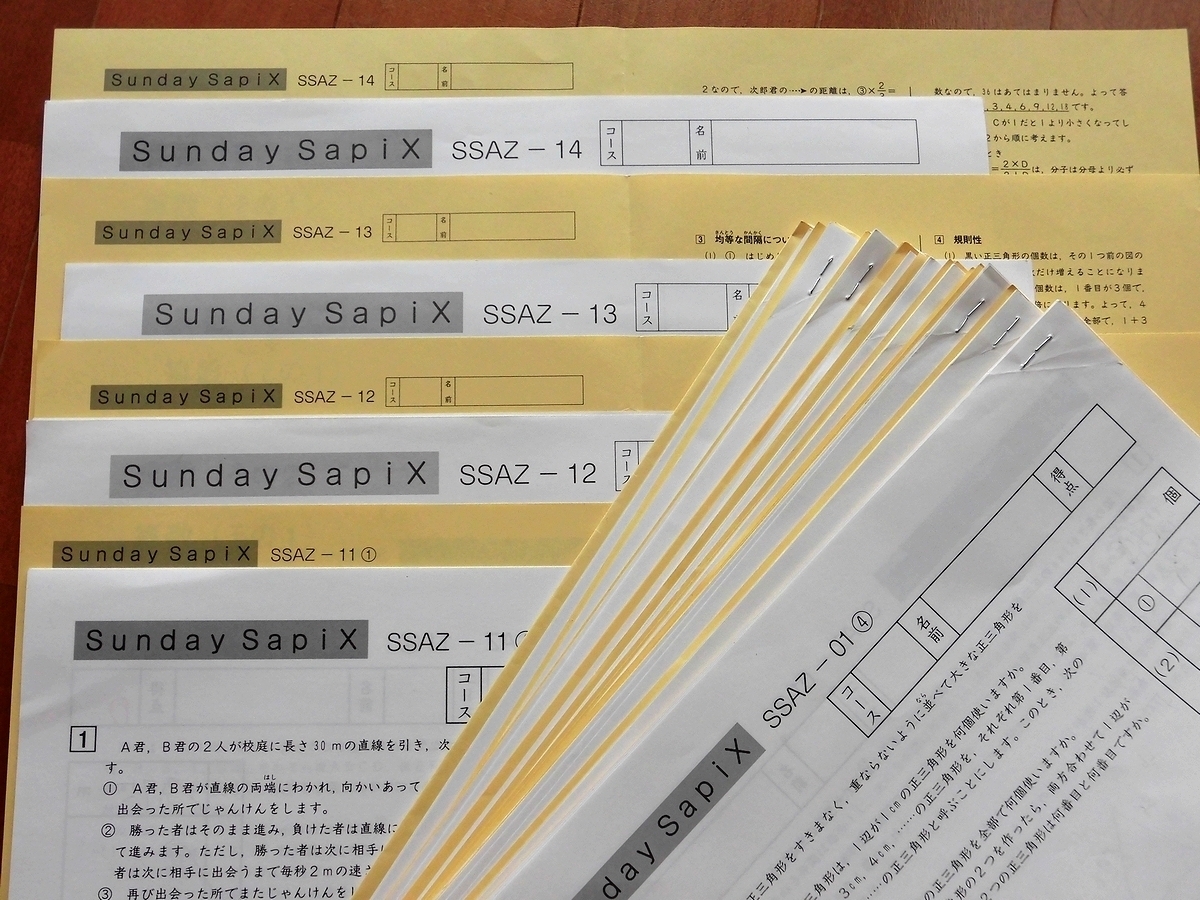 サピックス 算数 SAPIX 対策プリント＊全17回＊書 SS特訓＊6年 