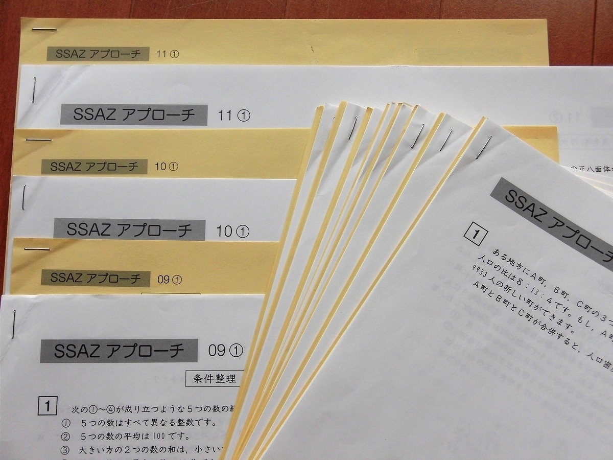 サピックス 算数 SAPIX 対策プリント＊全17回＊書 SS特訓＊6年 