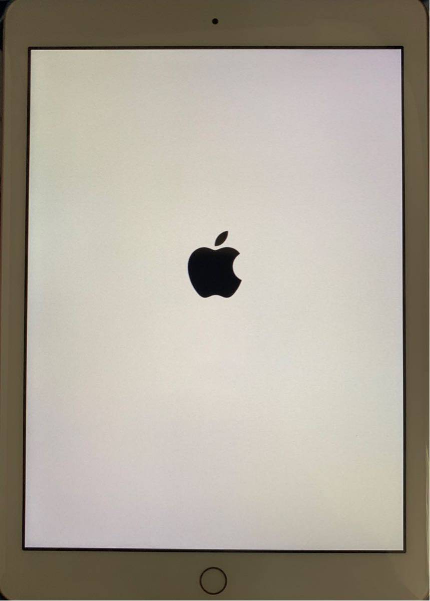 iPad 第6世代 32GB Wi-Fi + Cellular ゴールド gold simフリー iPad 6