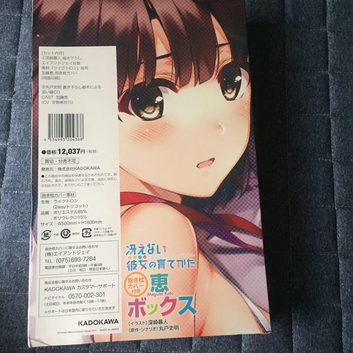 冴えない彼女の育てかた 霞ヶ丘詩羽 抱き枕カバー！